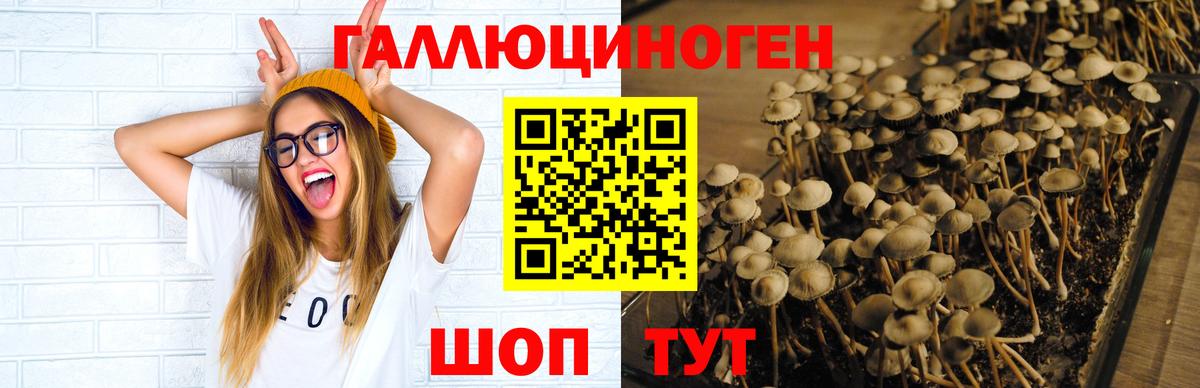 Арсеньев  Галлюциногенные грибы GOLDEN TEACHER  Вход с VPN 